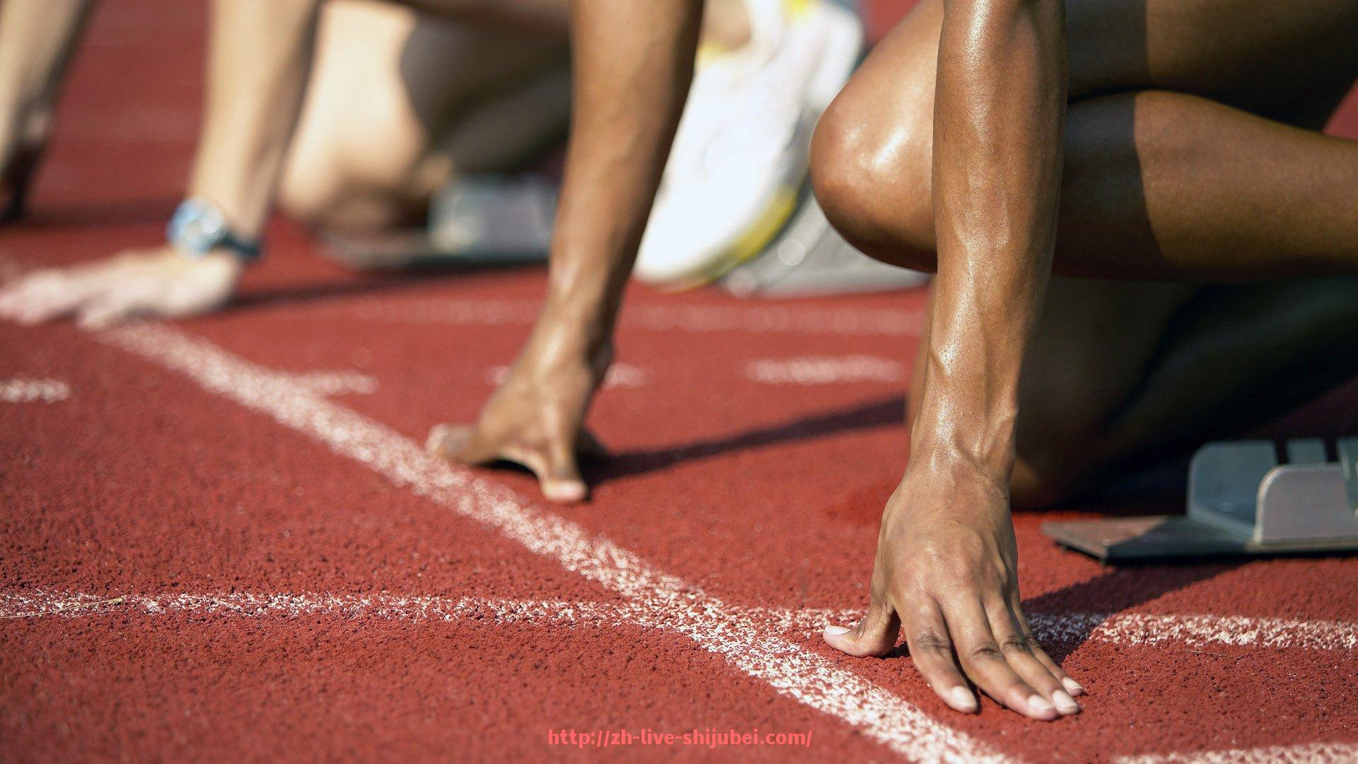 世俱杯直播-临时交通调整方案与世俱杯赛事期间交通畅通度实测情况