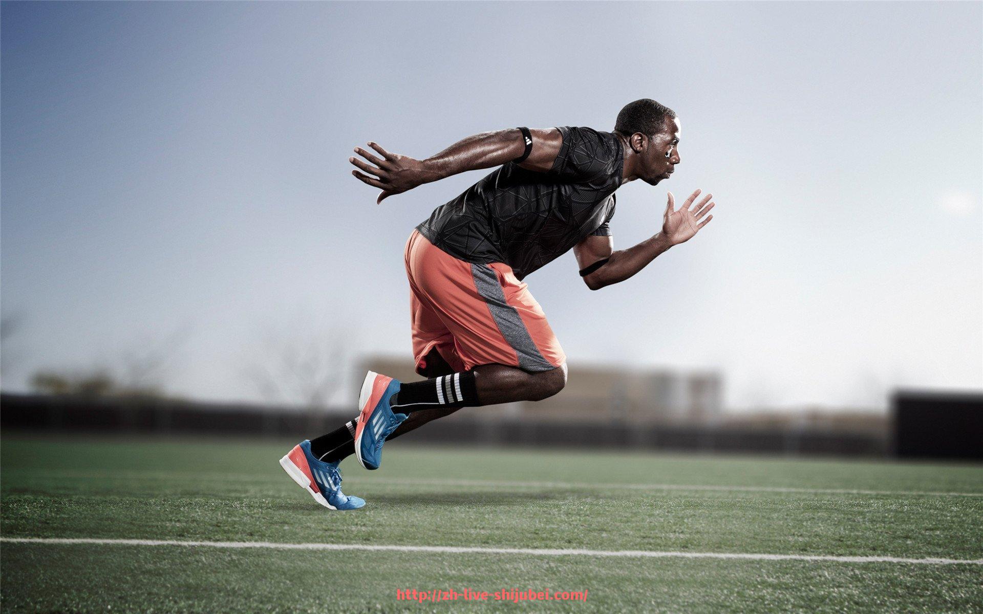 世俱杯直播-健身房主流健身器材品牌介绍与对比分析